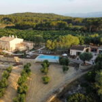 Treurer: Olive Oil Night. Gastronomic experience - Is It Worth the Price?