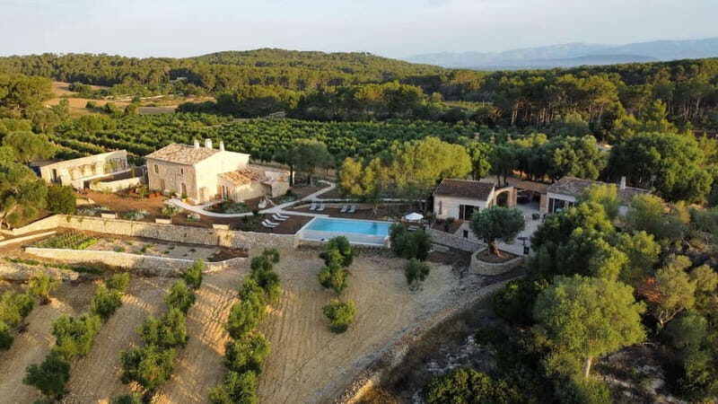 Treurer: Olive Oil Night. Gastronomic experience - Is It Worth the Price?