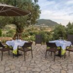 Treurer: Tapas Gourmet and Extra Virgin Olive Oil - FAQs