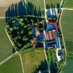 Treviso neighborhood: Tenute Tomasella/Wine Experience - Who Is This Tour Best Suited For?