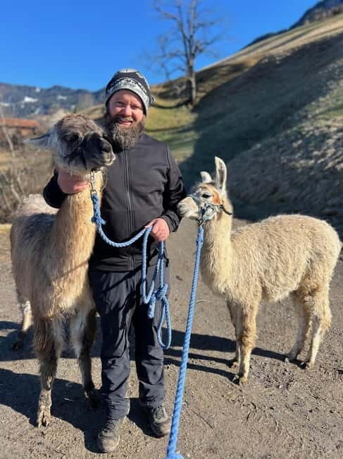 Triesenberg: Walk with Llamas in the Mountains - Practical Details