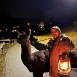 Triesenberg: Walking Tour with Llamas and Cheese Raclette - Final Thoughts