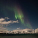 Tromsø: 24hr Northern Lights & Whale Watching Cruise - The Itinerary: What to Expect