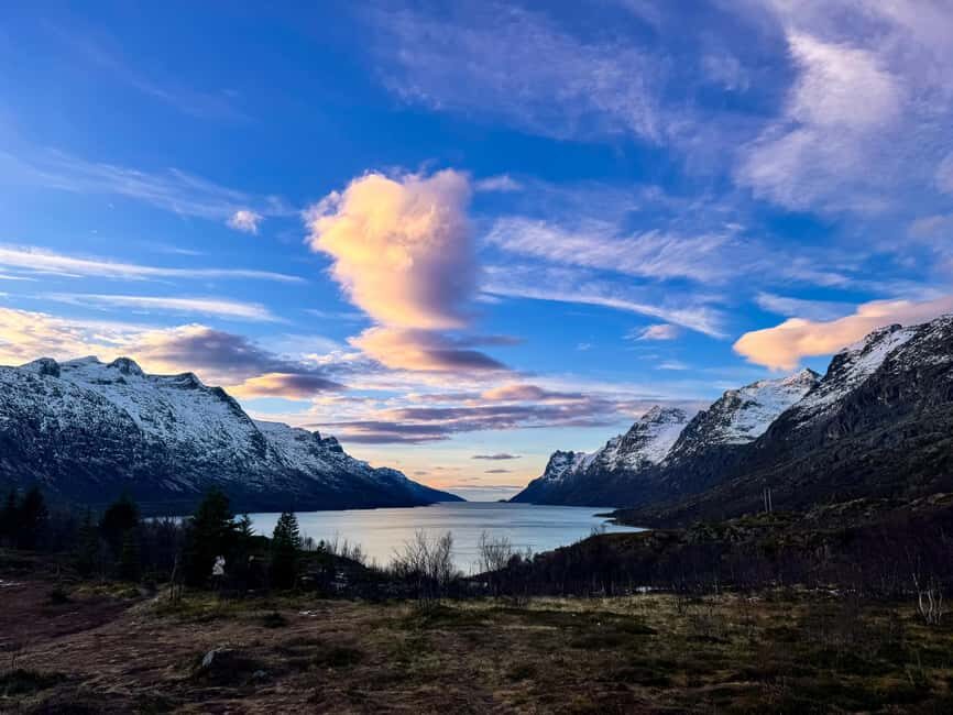 Tromsø: A Sámi Survival Story and Fjords Tour - What Travelers Say