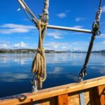 Tromsø: A Taste of Coastal Traditions - Wildlife and Nature