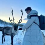 Tromsø: Arctic fjord sightseeing, Reindeer feeding and lunch - The Experience in Detail