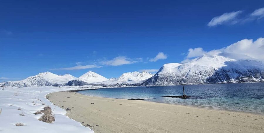 Tromsø: Arctic Fjords Tour. Sommerøya and Kvaløya with Lunch - The Practicalities: How the Tour Works