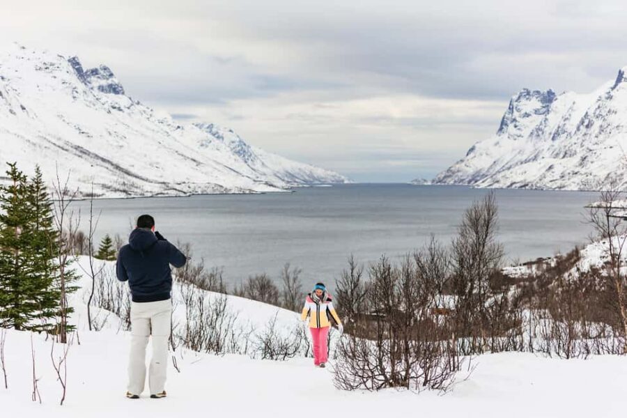 Tromsø: Arctic Landscape and Fjord Tour with Snacks - Who Is This Tour Best For?
