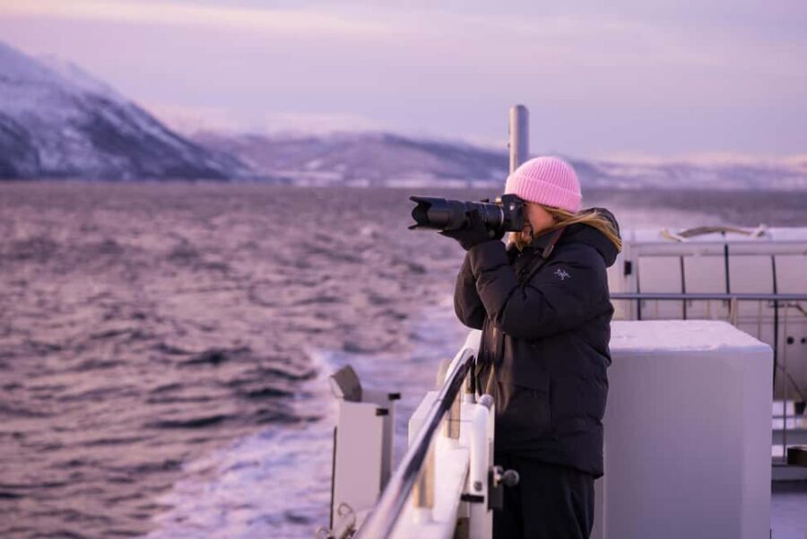 Tromsø: Arctic Sightseeing Cruise by catamaran - FAQ