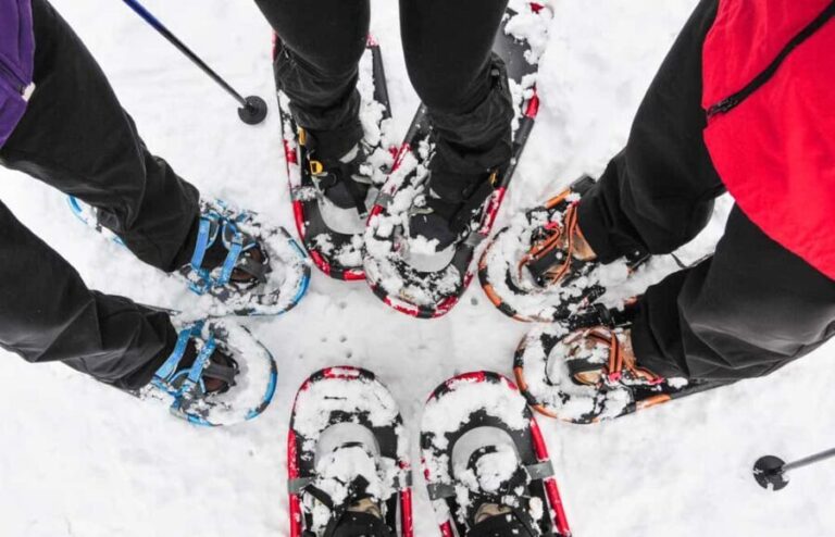 Tromsø: Arctic Sightseeing & Snowshoeing with picnic - What to Expect from the Tromsø Snowshoeing Experience