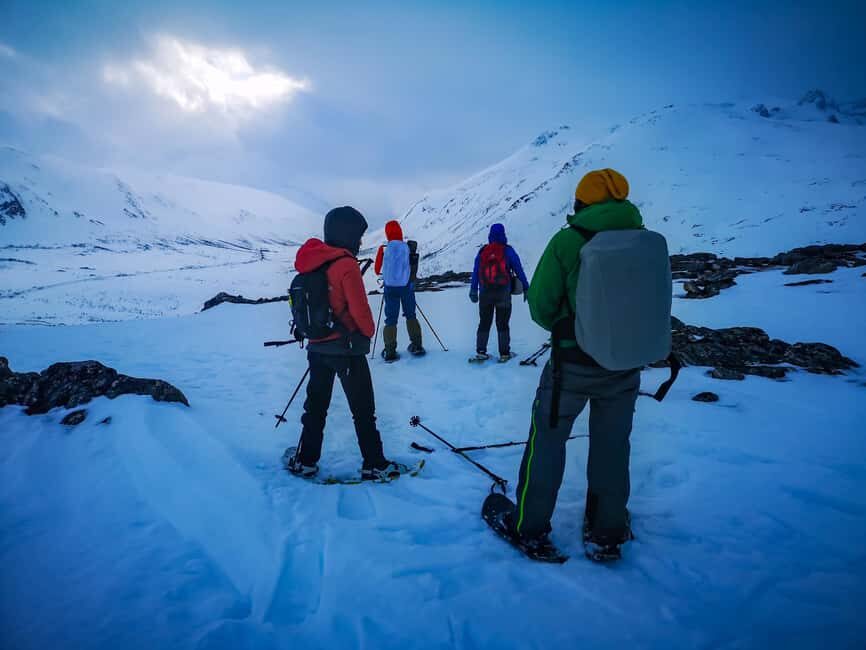 Tromsø: Arctic Snowshoeing Experience - Is It Worth the Price?