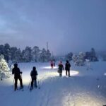 Tromsø: Artic Terrain Snowshoe Expedition with Local Guides - What Is the Tromsø Artic Terrain Snowshoe Expedition?