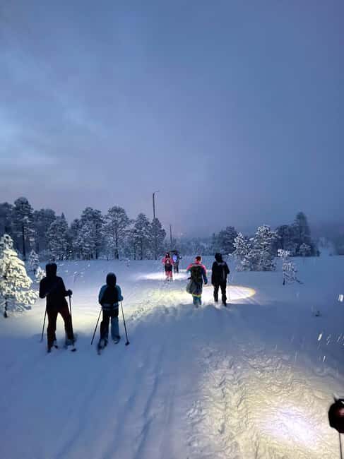 Tromsø: Artic Terrain Snowshoe Expedition with Local Guides - What Is the Tromsø Artic Terrain Snowshoe Expedition?