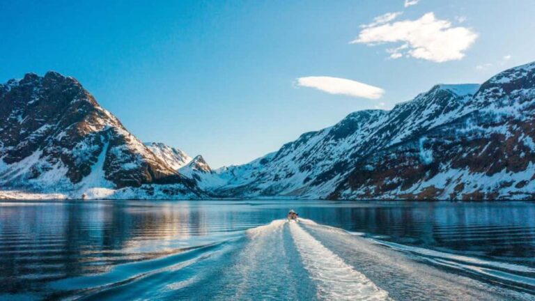 Tromsø Catamaran Whale Watching - The Value of the Experience