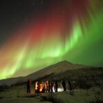 Tromsø: Chase Aurora in Minibus and Free Aurora Portrait - Why This Tour Gets Rave Reviews