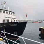 Tromsø: Classic arctic fjord cruise with lite lunch - Who Will Love This Tour?