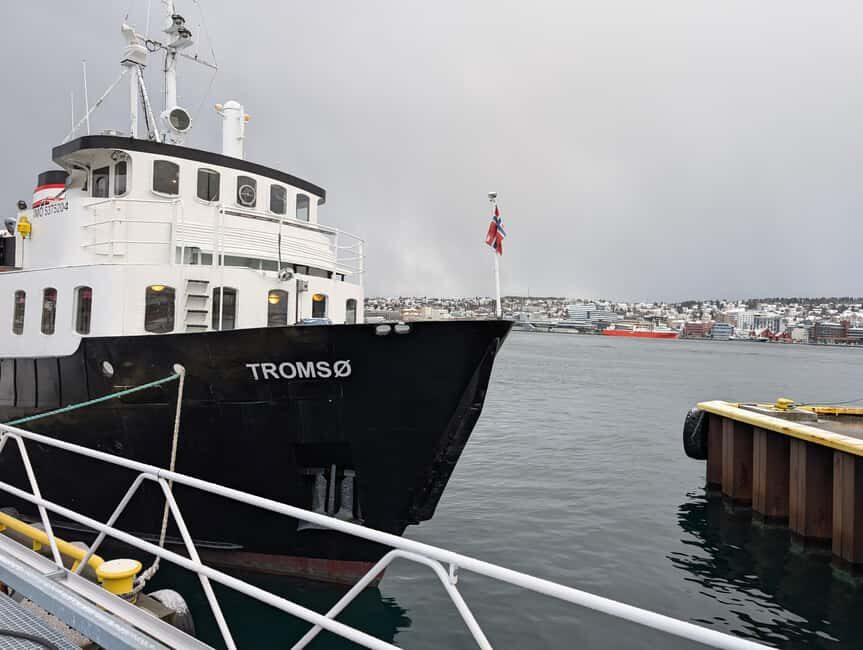 Tromsø: Classic arctic fjord cruise with lite lunch - Who Will Love This Tour?