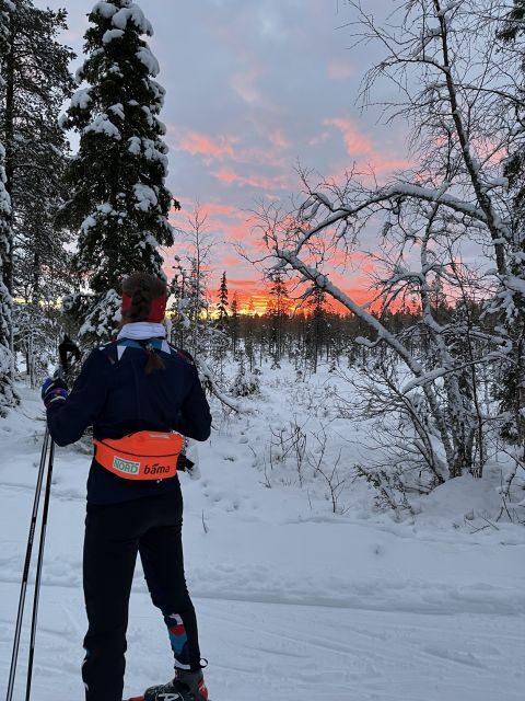 Tromsø: Cross Country Guided Skiing Course - The Value for Money