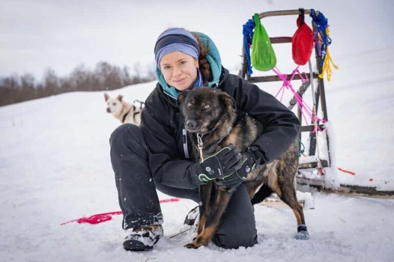Tromsø: Dog Sledding Adventure at Camp Aspemo - Analyzing the Experience: Value and Considerations