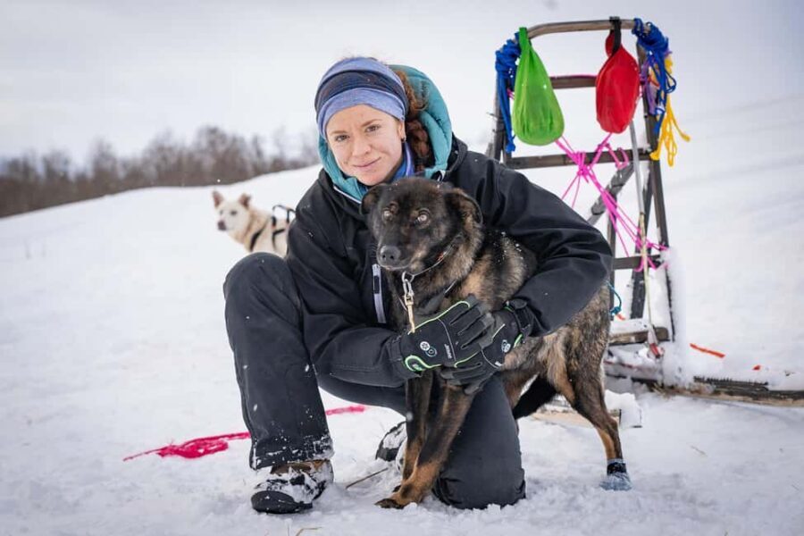 Tromsø: Dog Sledding Adventure at Camp Aspemo - Analyzing the Experience: Value and Considerations