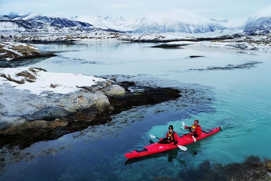 Tromsø: Easy-going Guided Winter Sea Kayaking Tour - In-Depth Breakdown of the Tour