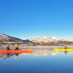 Tromsø: Easy Winter Kayaking Tour with Seal Watching - Pricing and Value
