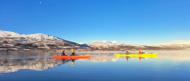 Tromsø: Easy Winter Kayaking Tour with Seal Watching - Pricing and Value