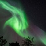 Tromsø: Evening Cruise with Northern Lights Opportunity - What You Can Expect from the Tour