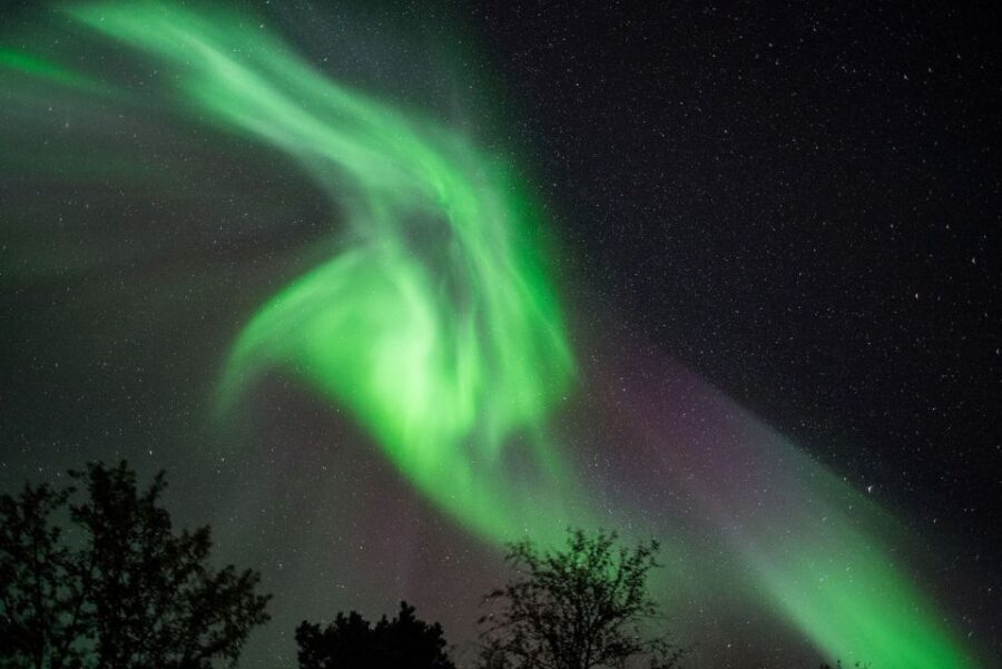Tromsø: Evening Cruise with Northern Lights Opportunity - What You Can Expect from the Tour