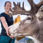 Tromsø: Exclusive Northern Lights Minibus & Reindeer Tour - What Makes This Tour Special?