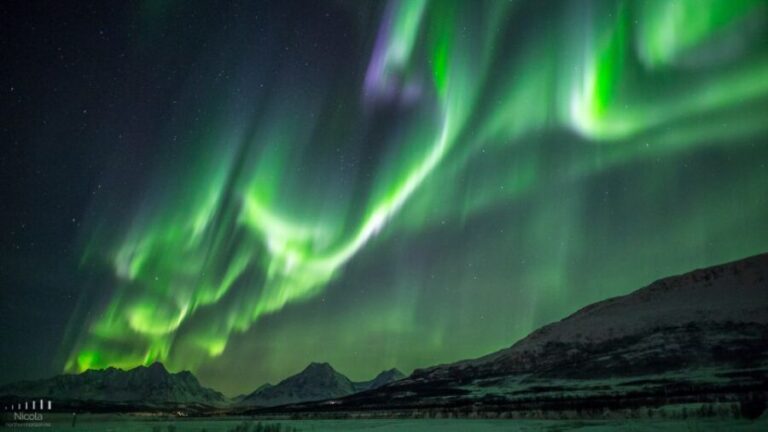 Tromsø: Expert Aurora Hunt - Thermal Gear, Food, Campfire - What Travelers Say