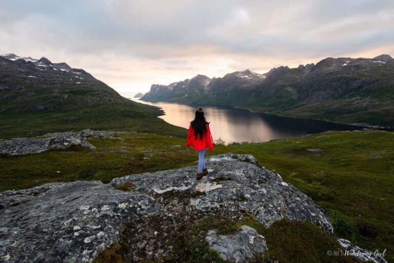 Tromsø: Express Summer Day Hike in the wilderness - Price and Value