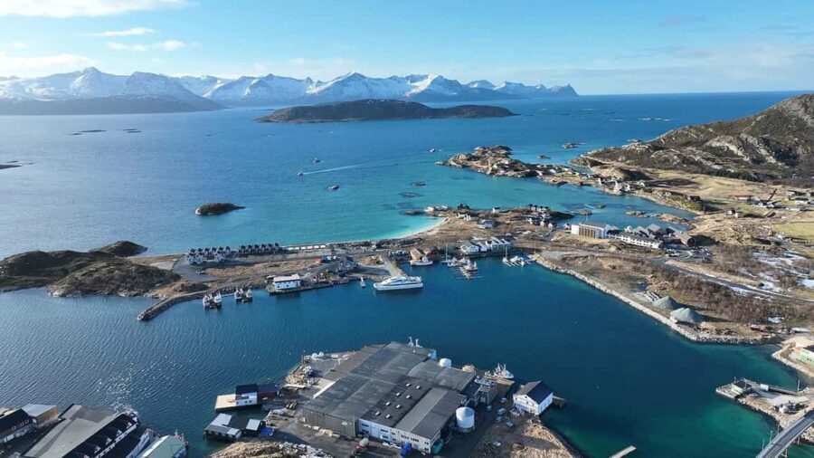 Tromsø Fjord Cruise - With a stop at Sommarøy Island - What to Expect from the Tromsø Fjord Cruise