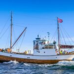 Tromsø: Fjord History Cruise with Snack and Drinks - The Pros and Cons: Honest Insights