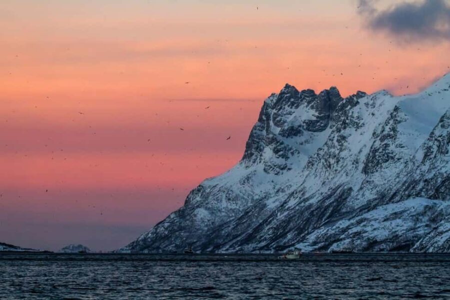 Tromsø: Fjord tour in a minibus to Sommarøy with fishsoup - The Real Value of the Tour