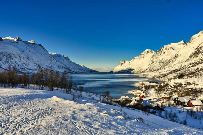 Tromsø: Fjords & Sommarøy Tour with Warm Local Lunch Option - What Makes This Tour Stand Out?