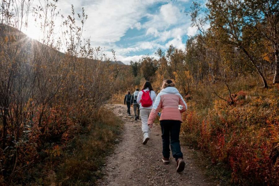 Tromsø: Guided Hike to Mount Fløya with Stunning Views - What to Expect on Your Mount Fløya Hike