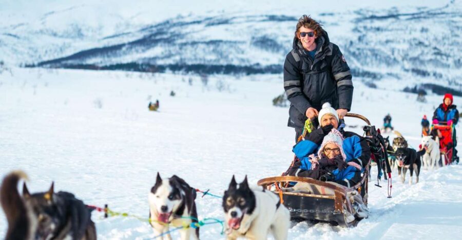 Tromsø: Guided Husky Sledding with Traditional Lunch - Key Points