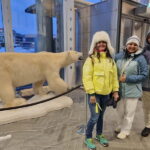 Tromsø: Guided Polar Bear Walk incl. Polaria & Polar Museum - The Experience: Pros and Cons