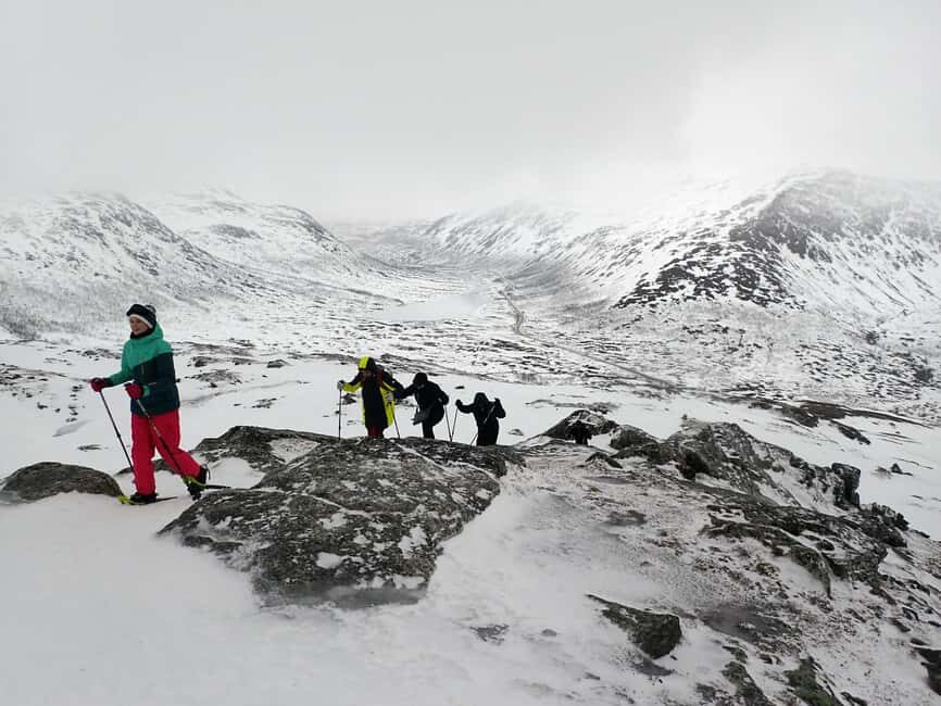 Tromsø: Guided snowshoe hill hike - Practical Details and Value