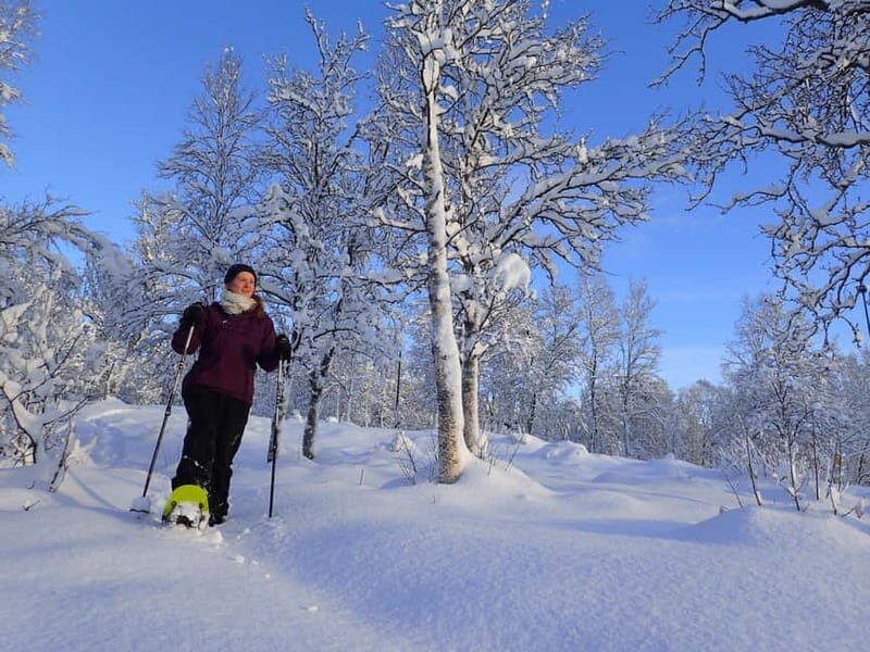 Tromsø: Guided snowshoe trip with a campfire - The Practical Details