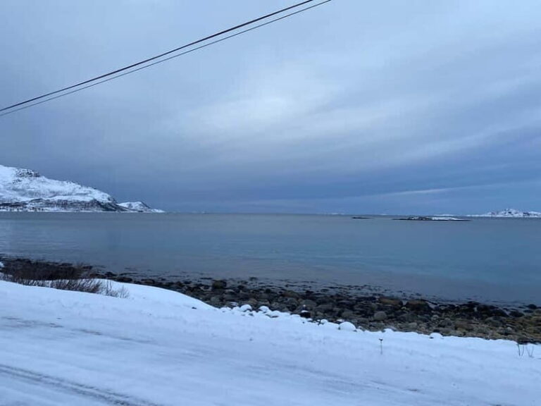 Tromsø Half-Day Private Tour: Fjords & Sommarøy Adventure - What Makes This Tour Stand Out?