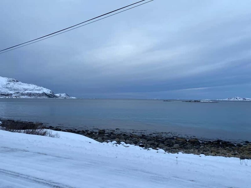 Tromsø Half-Day Private Tour: Fjords & Sommarøy Adventure - What Makes This Tour Stand Out?