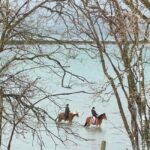 Tromsø: Horseback Riding Tour vinter/summer - What the Tour Includes & Practical Details