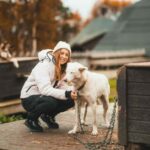 Tromsø: Husky Meet and Greet with Homemade Chocolate Cake - The Cost and What You’re Getting