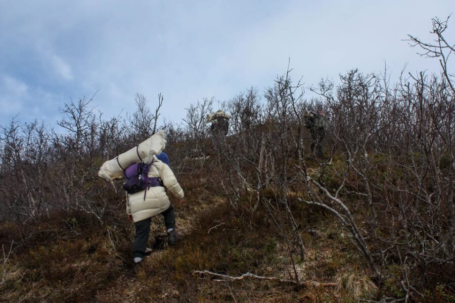 Tromsø: Ice Fishing and Snowshoe Hiking with a Local Guide - Authentic Feedback from Travelers