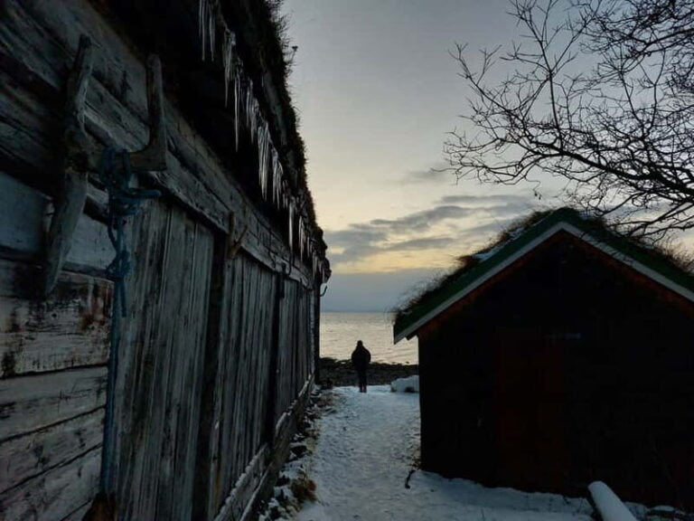 Tromsø: Island of Kvaløya Scenic Sightseeing Minibus Tour - Key Points