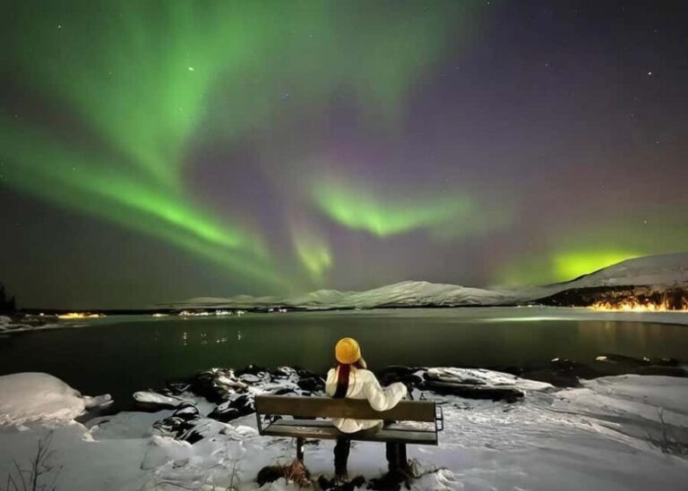 Tromsø: Live Like a Local - Floating and Sauna - What Makes This Tour Stand Out?