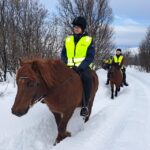 Tromsø: Lyngen Horse Winter Riding Experience - The Itinerary Breakdown