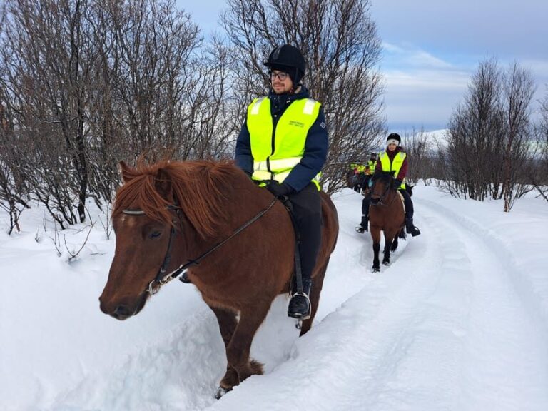 Tromsø: Lyngen Horse Winter Riding Experience - The Itinerary Breakdown